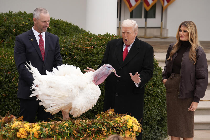 Donald Trump Pardons Turkey