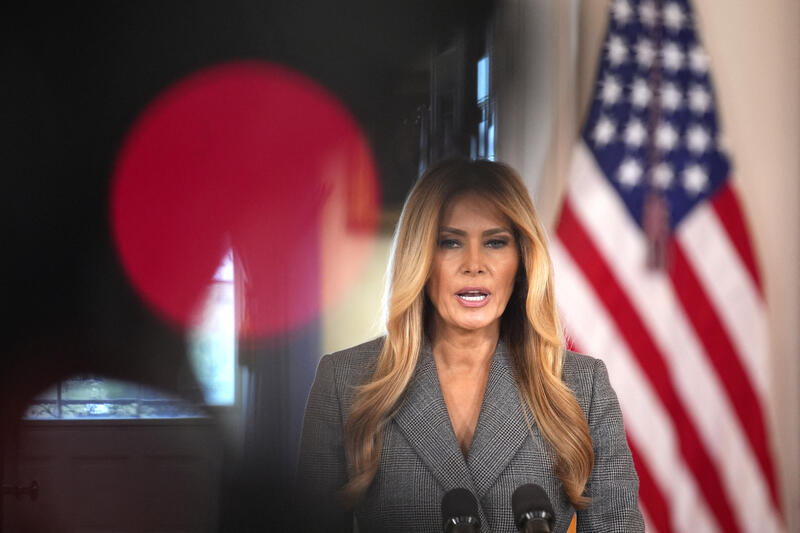 Melania Trump - Eptstein Case Proposal