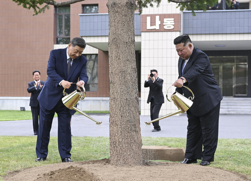 Xi Jinping visits DPRK
