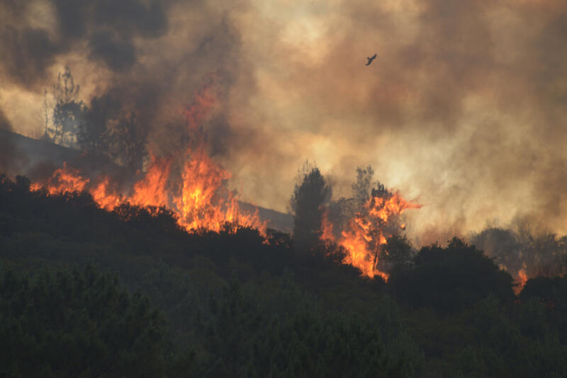 Forest Fires across Europe
