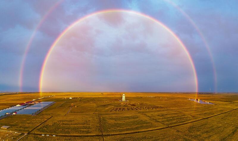 PIX OF THE WEEK - 39